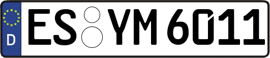 ES-YM6011