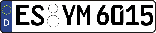 ES-YM6015