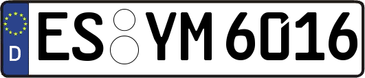 ES-YM6016
