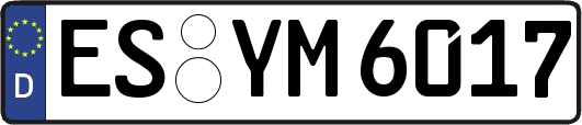 ES-YM6017