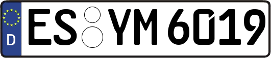 ES-YM6019