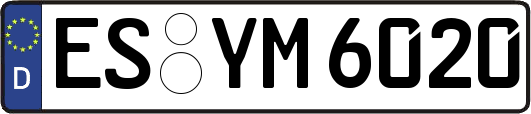 ES-YM6020