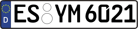 ES-YM6021