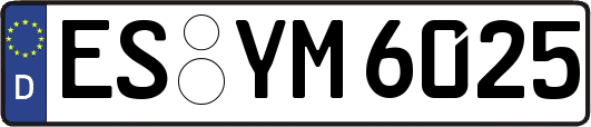 ES-YM6025