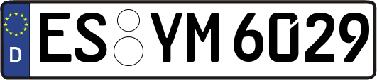 ES-YM6029
