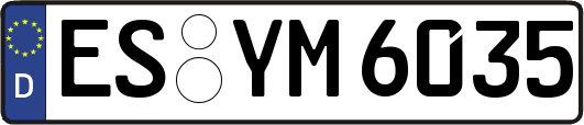 ES-YM6035