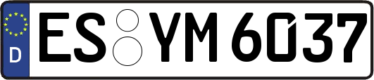 ES-YM6037