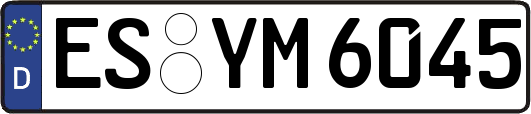 ES-YM6045