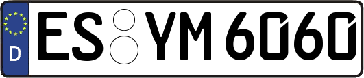 ES-YM6060