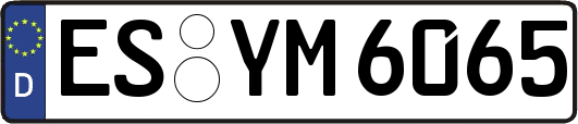 ES-YM6065