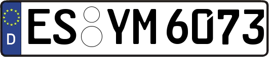 ES-YM6073