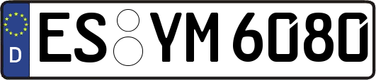 ES-YM6080
