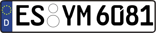 ES-YM6081