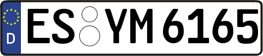 ES-YM6165