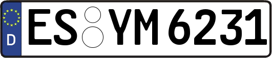 ES-YM6231