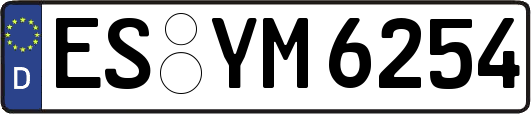 ES-YM6254