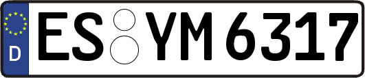 ES-YM6317