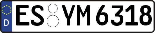 ES-YM6318
