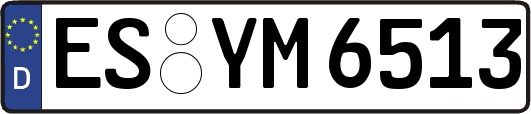 ES-YM6513