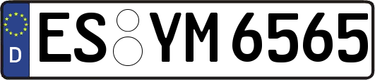 ES-YM6565