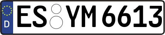 ES-YM6613