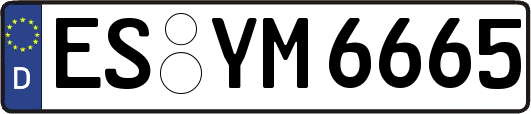 ES-YM6665