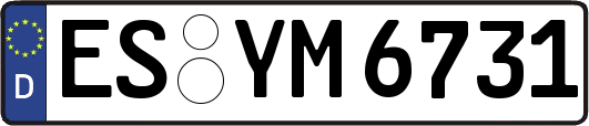 ES-YM6731
