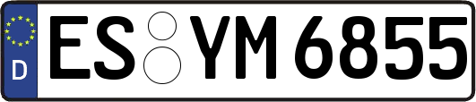 ES-YM6855