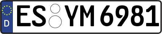 ES-YM6981