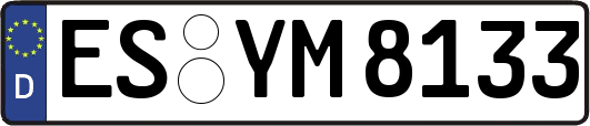 ES-YM8133