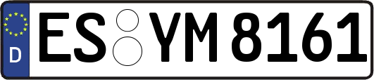 ES-YM8161