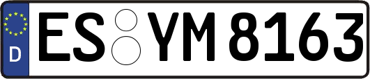 ES-YM8163