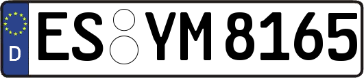 ES-YM8165