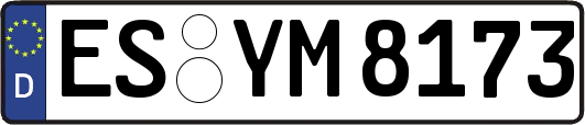 ES-YM8173