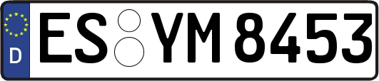 ES-YM8453