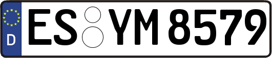 ES-YM8579