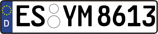 ES-YM8613