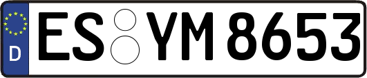 ES-YM8653
