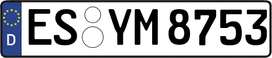 ES-YM8753
