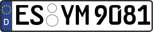 ES-YM9081