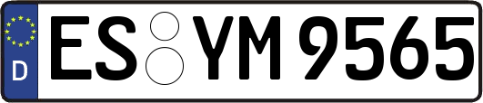 ES-YM9565