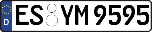 ES-YM9595