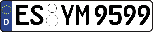 ES-YM9599