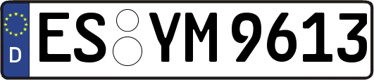 ES-YM9613