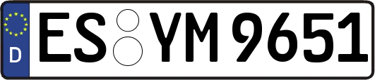 ES-YM9651