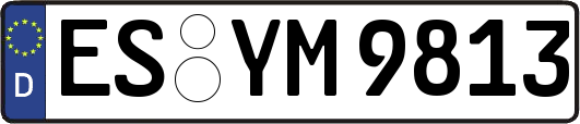 ES-YM9813