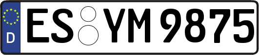 ES-YM9875
