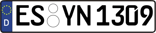 ES-YN1309