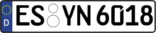 ES-YN6018