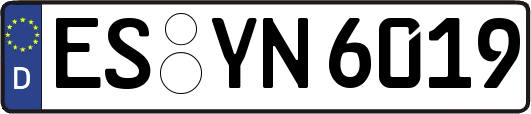 ES-YN6019